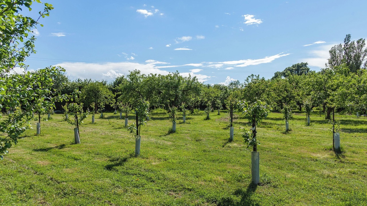 Photo of Outdoor in North Weald
