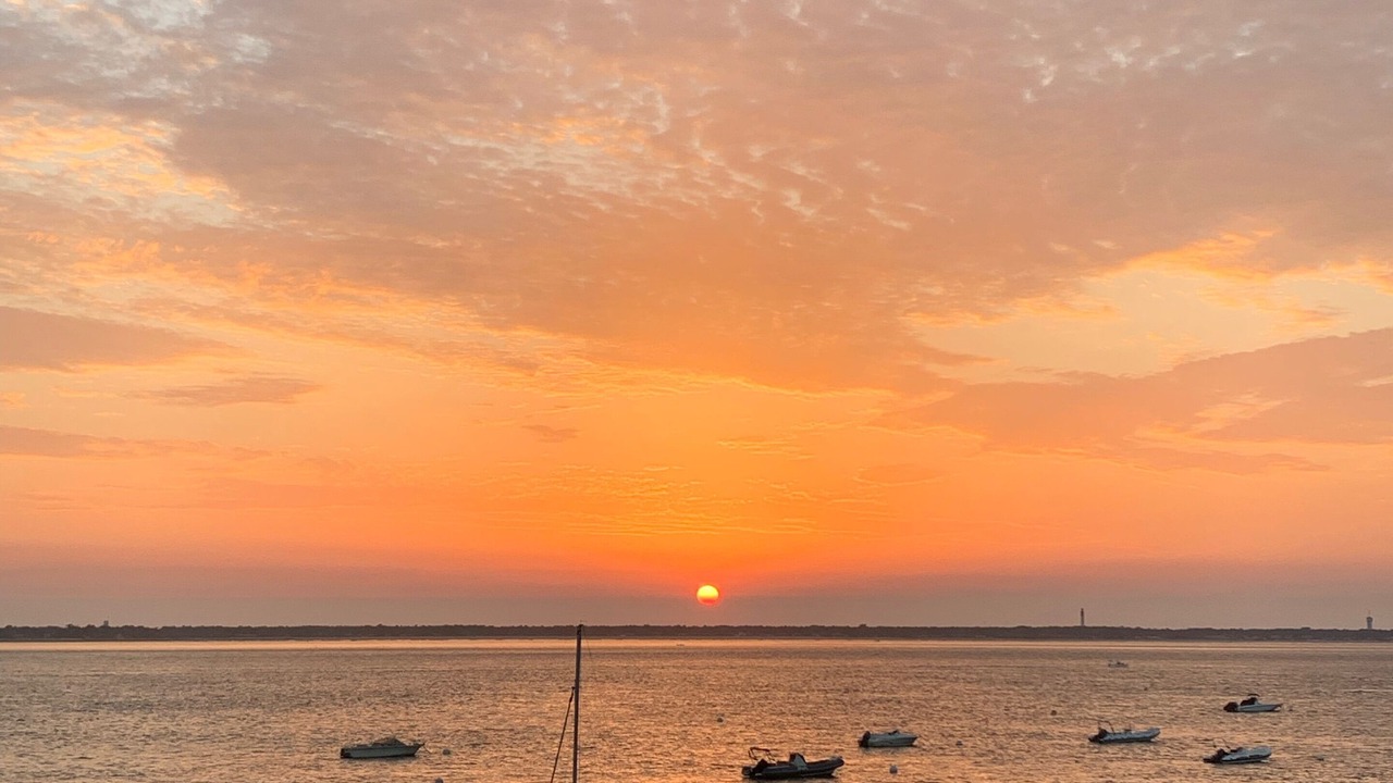 Photo of Others in Gujan-Mestras