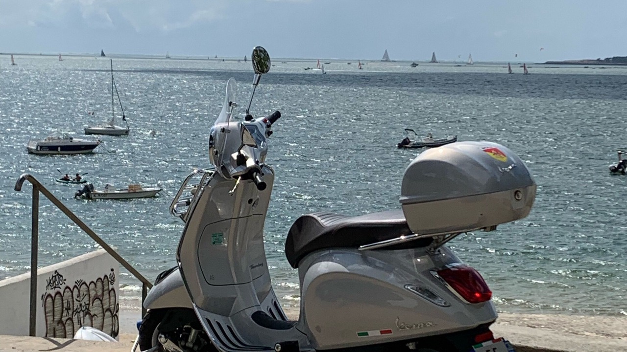 Photo of Others in Gujan-Mestras