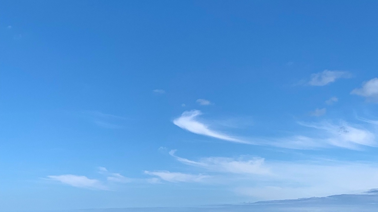 Photo of Others in Gujan-Mestras