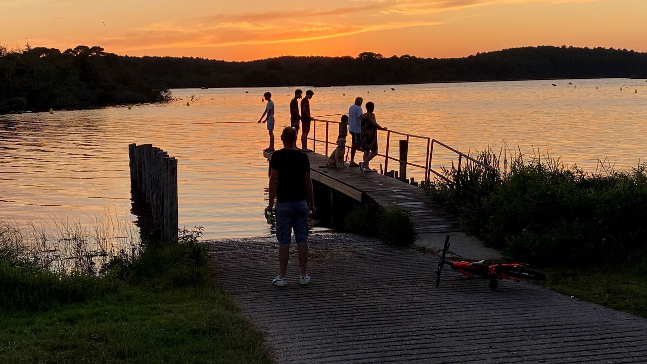 Photo of Others in Sainte-Eulalie-en-Born