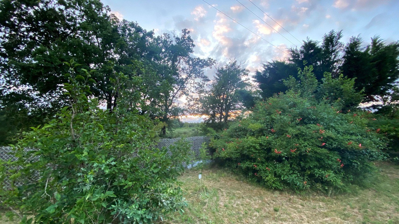 Photo of Outdoor in Sainte-Eulalie-en-Born