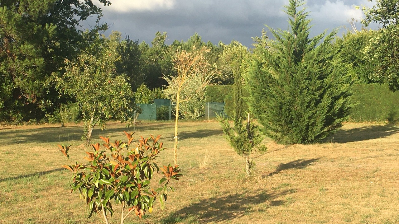 Photo of Outdoor in Sainte-Eulalie-en-Born