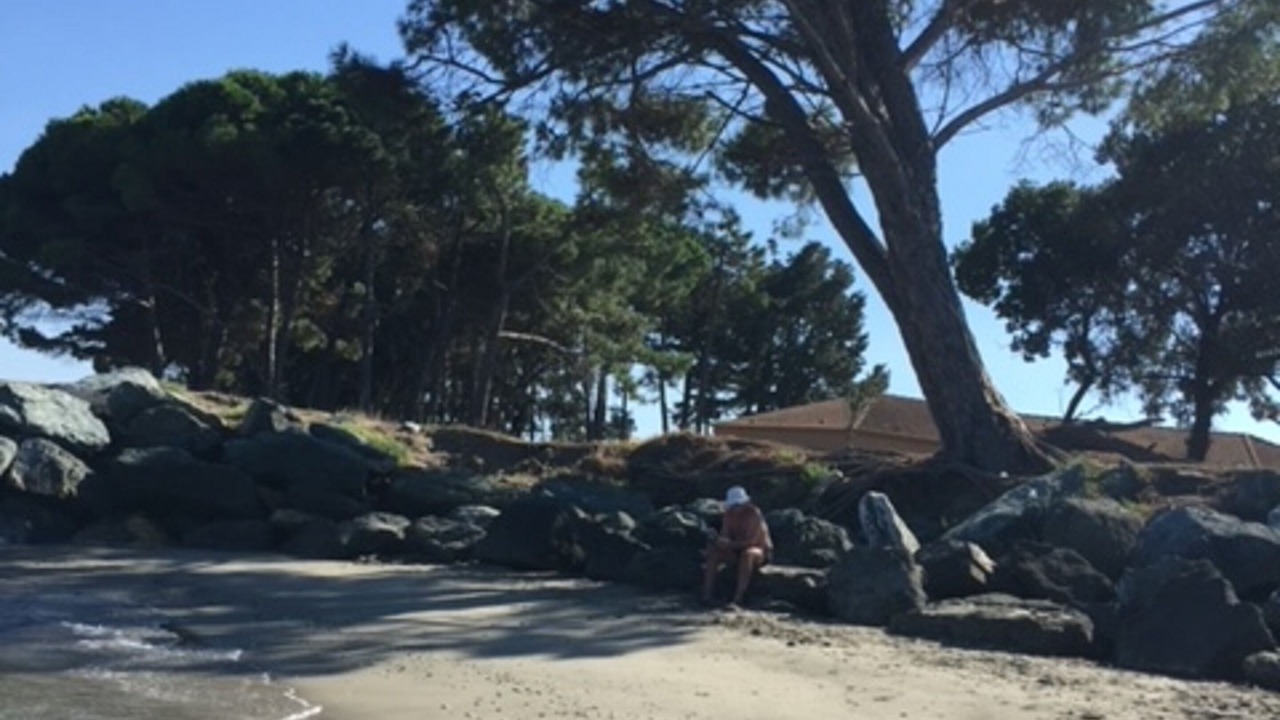 Photo of Others in Santa-Maria-Poggio