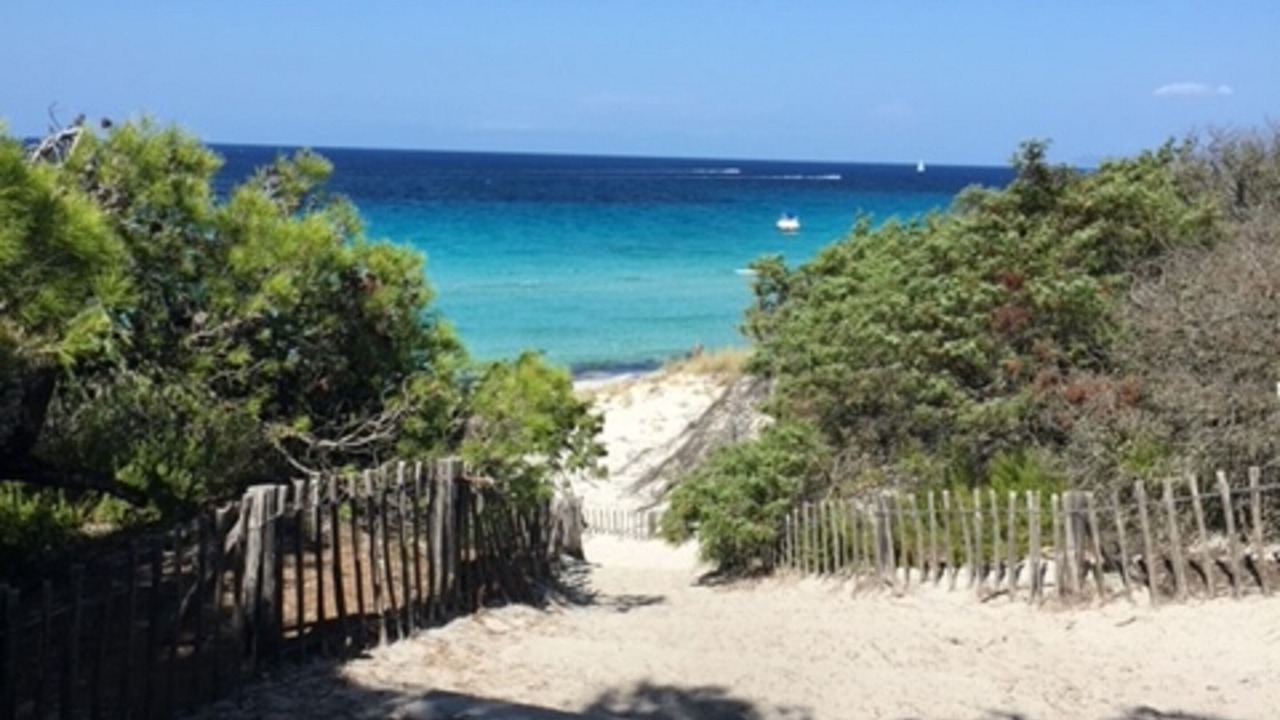 Photo of Others in Santa-Maria-Poggio