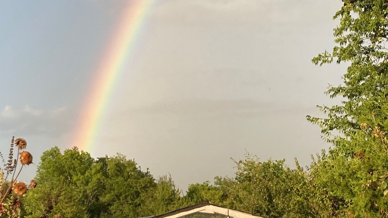 Photo of Outdoor in McLennan County