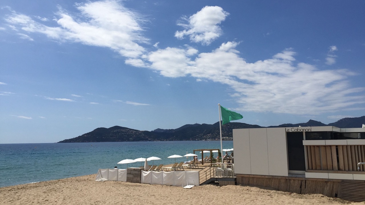 Photo of Others in La Bocca