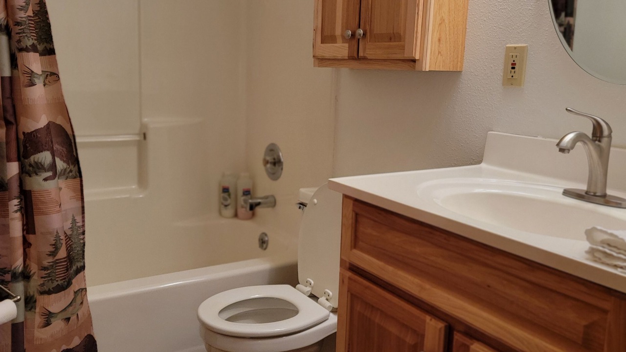 Photo of Bathroom in Victor