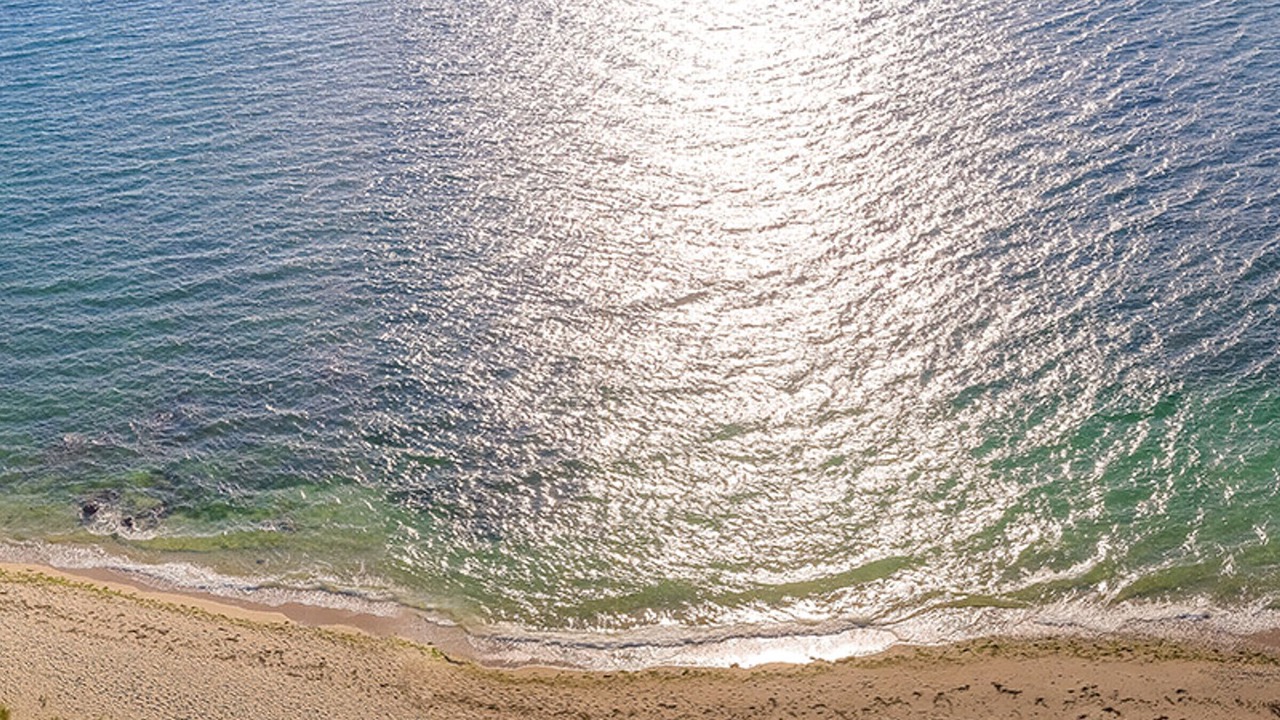 Photo of Others in Larmor-Plage