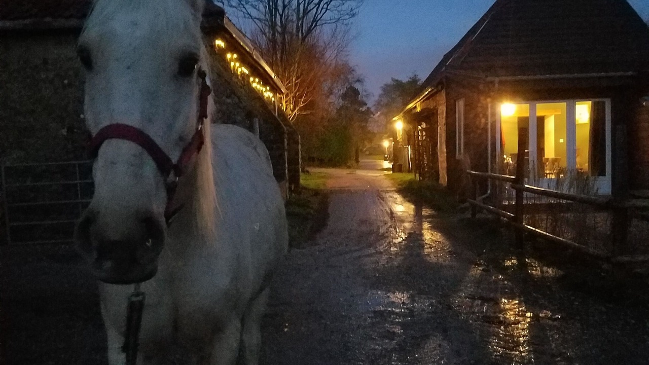 Photo of Others in Bazinghen