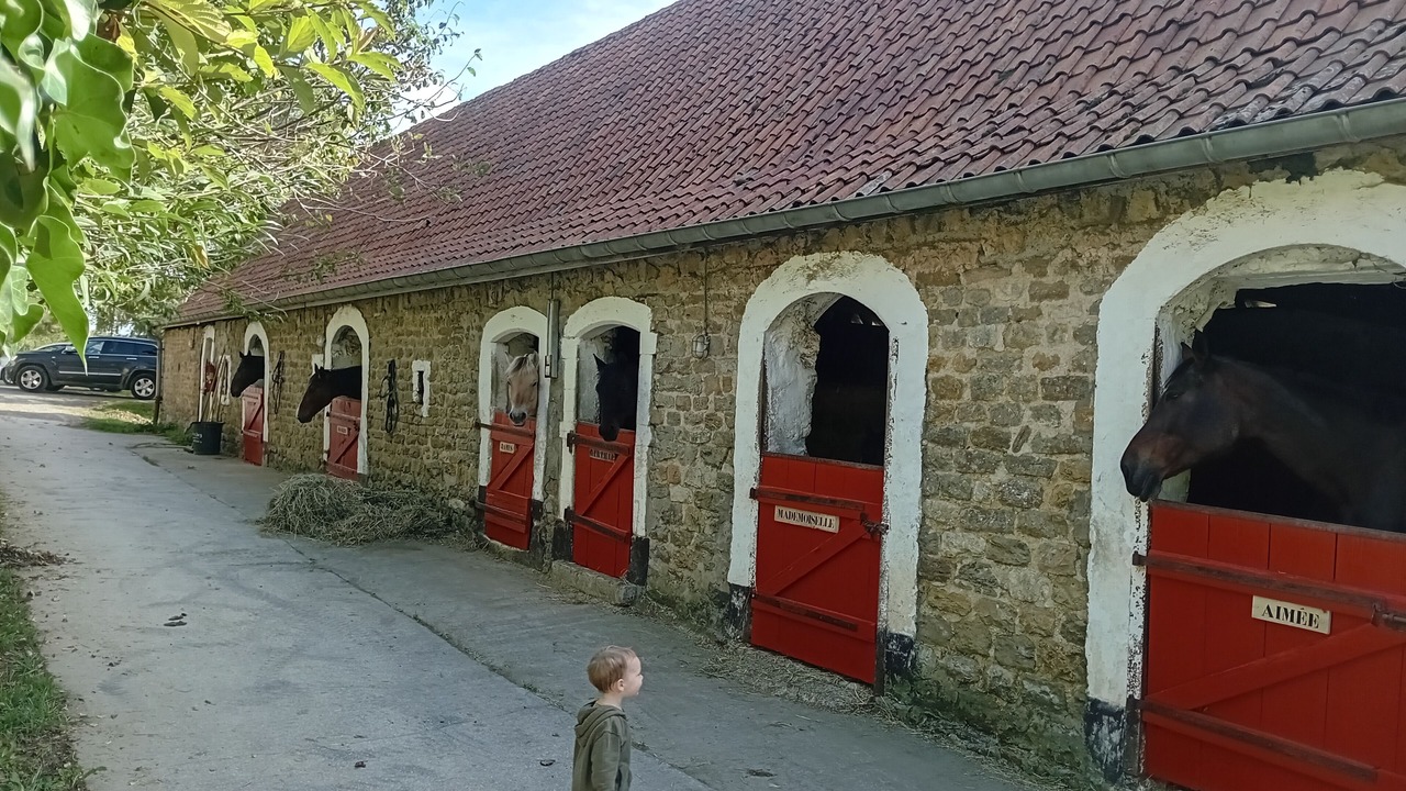 Photo of Others in Bazinghen