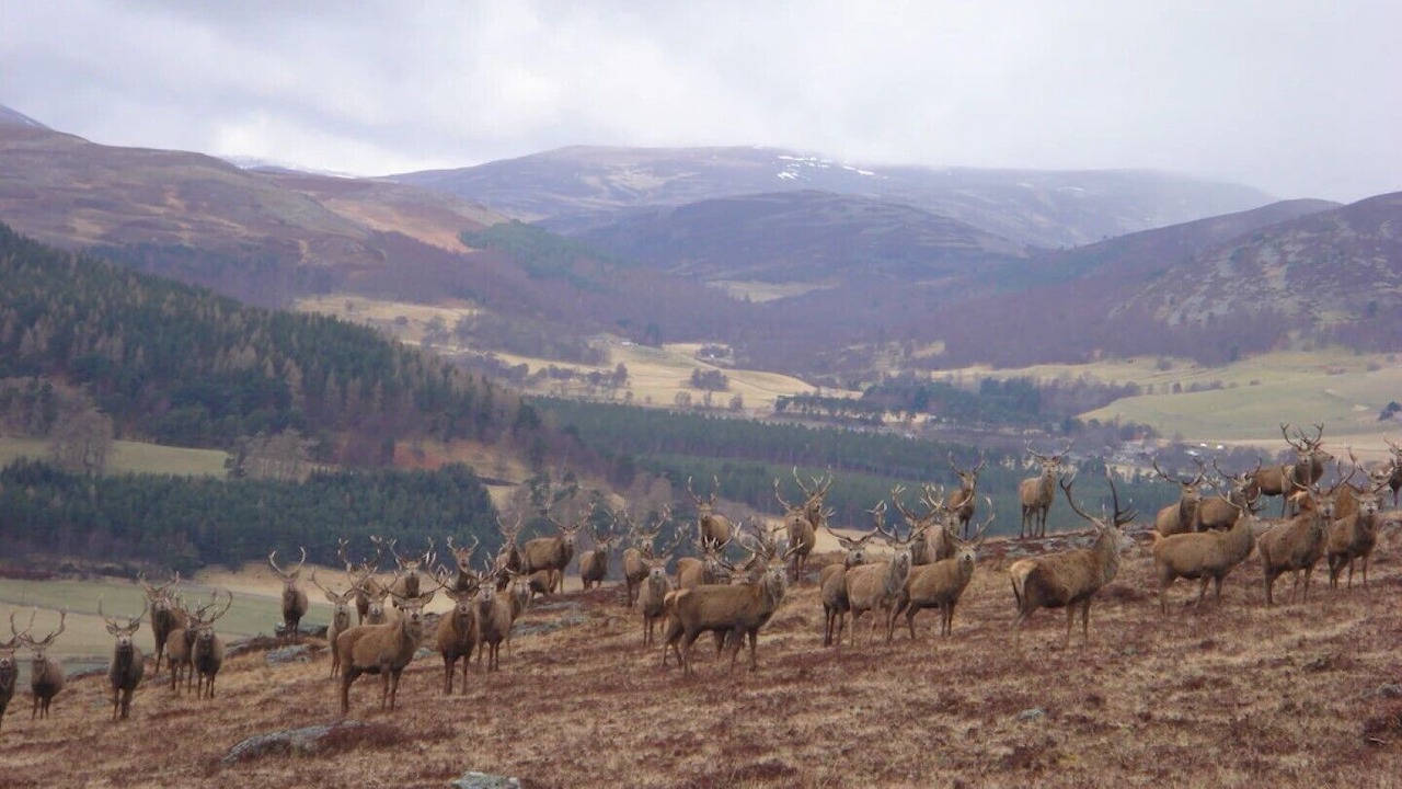 Photo of Outdoor in Ballater