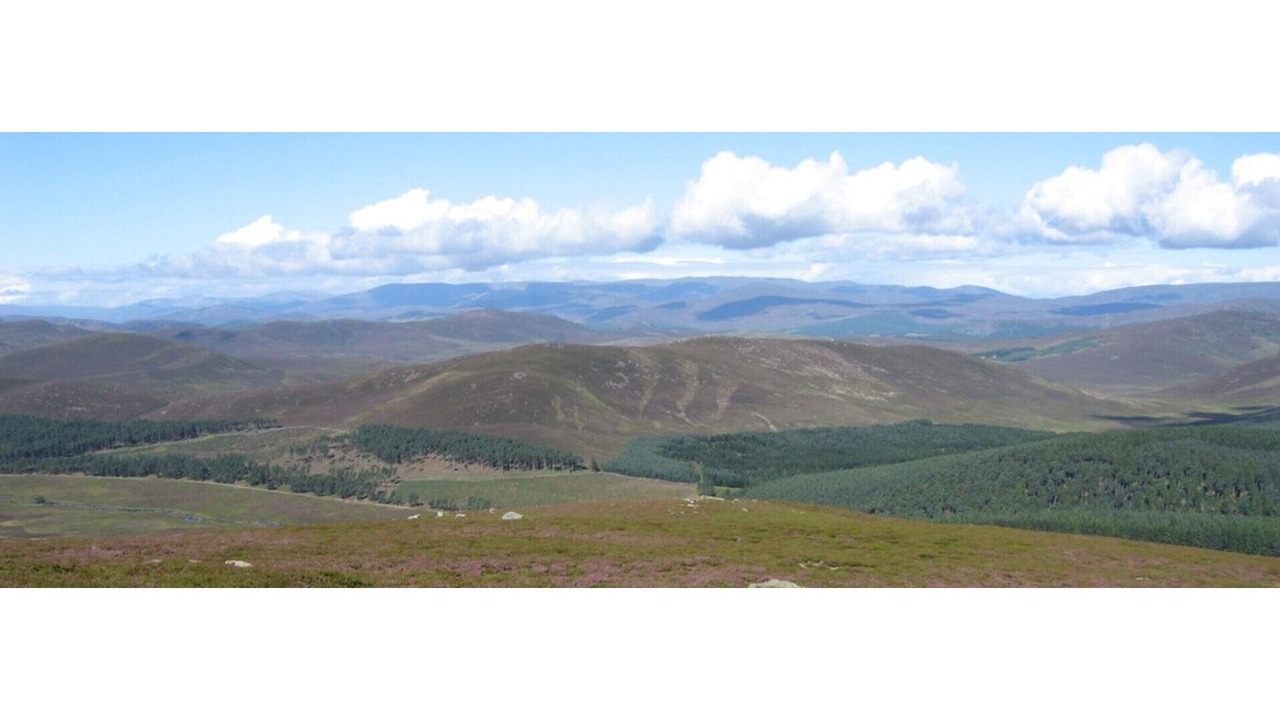 Photo of Others in Ballater