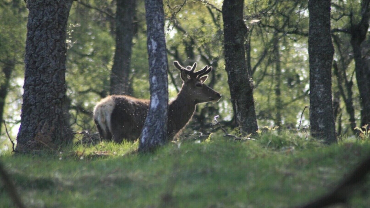 Photo of Outdoor in Ballater