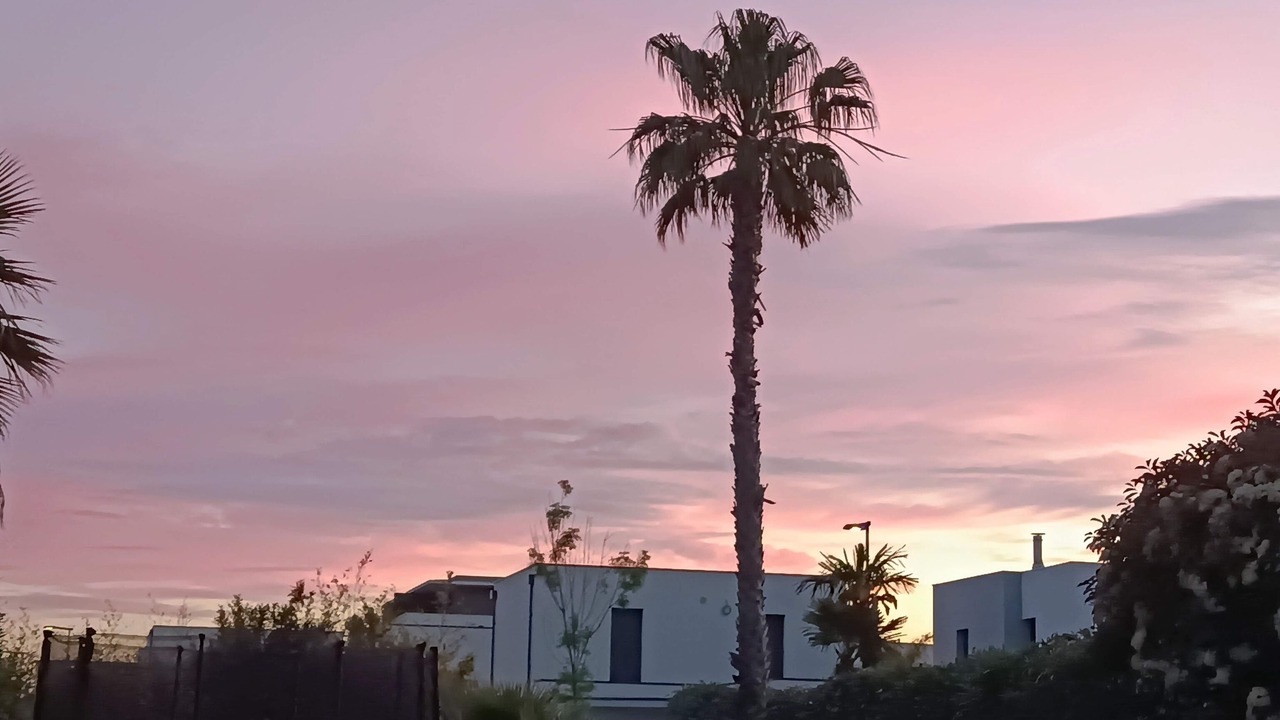 Photo of Outdoor in Perols