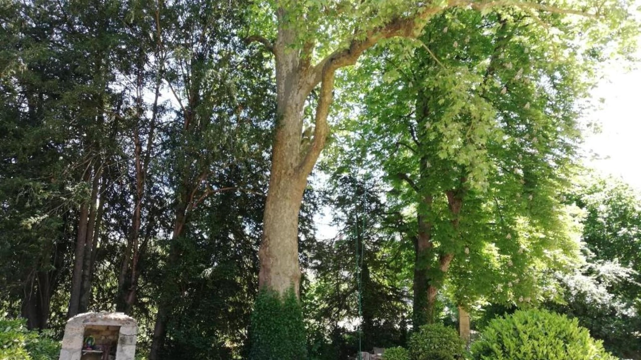 Photo of Others in Azay-le-Rideau