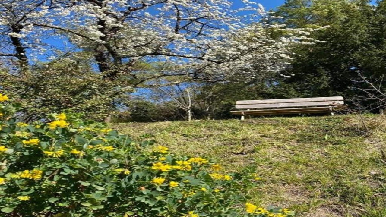 Photo of Others in Azay-le-Rideau