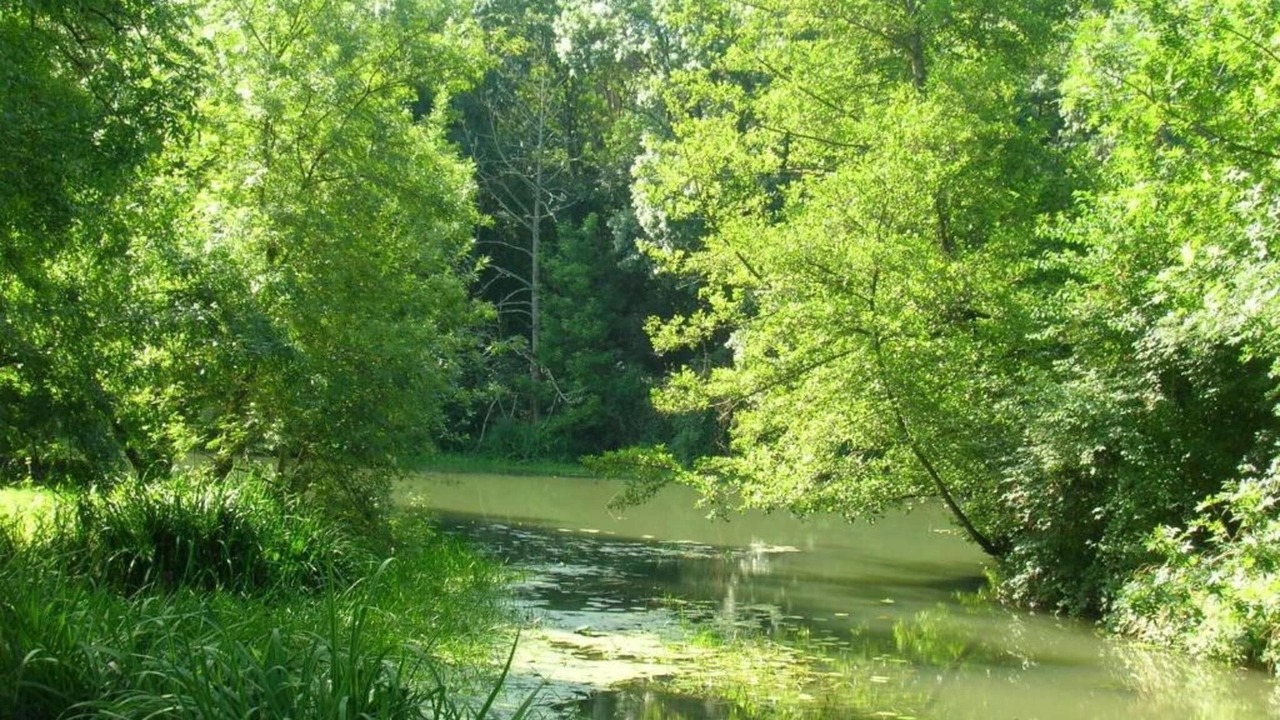 Photo of Others in Azay-le-Rideau