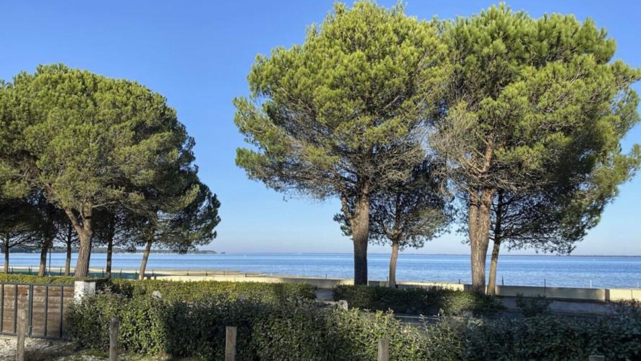 Photo of Others in Carcans