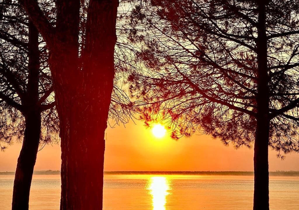 Photo of Others in Carcans