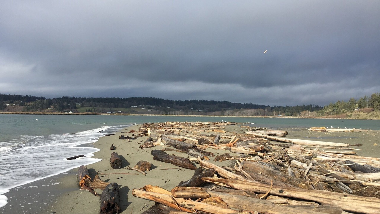 Photo of Others in Clinton