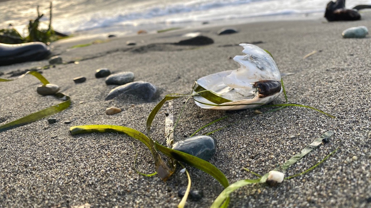 Photo of Others in Clinton