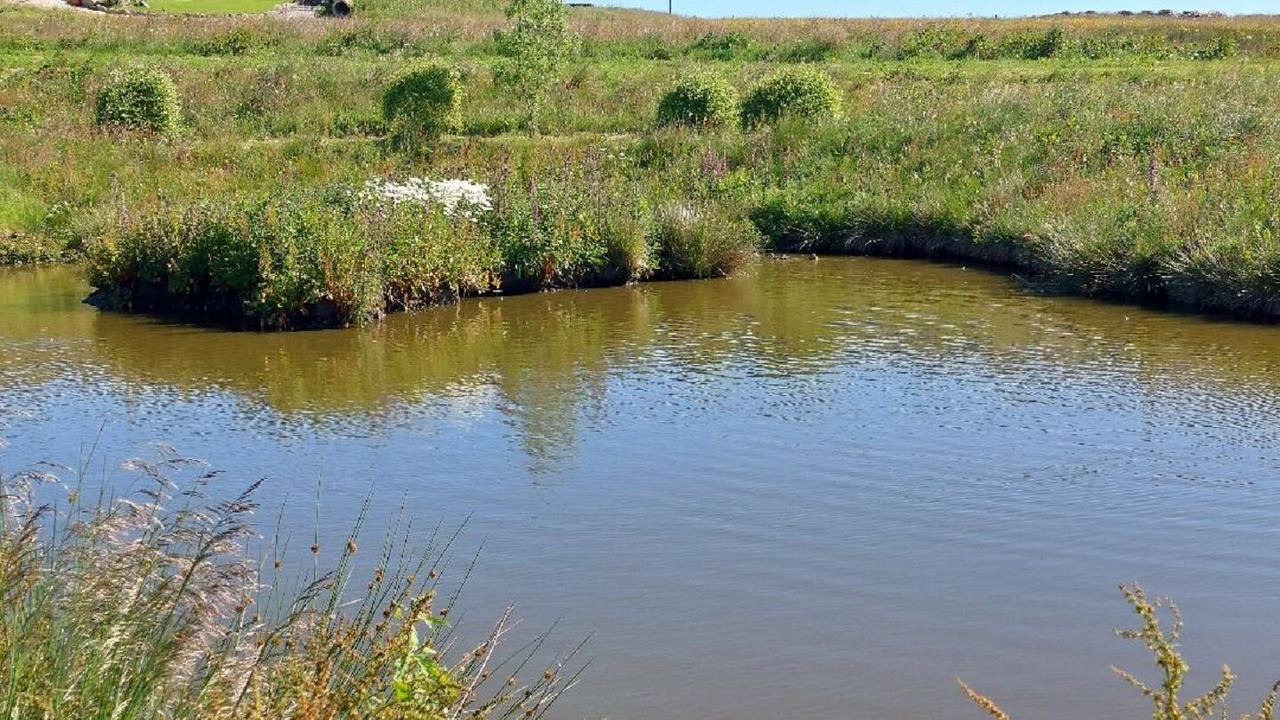 Photo of Others in Longnor