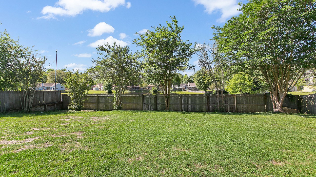 Photo of Outdoor in Jacksonville