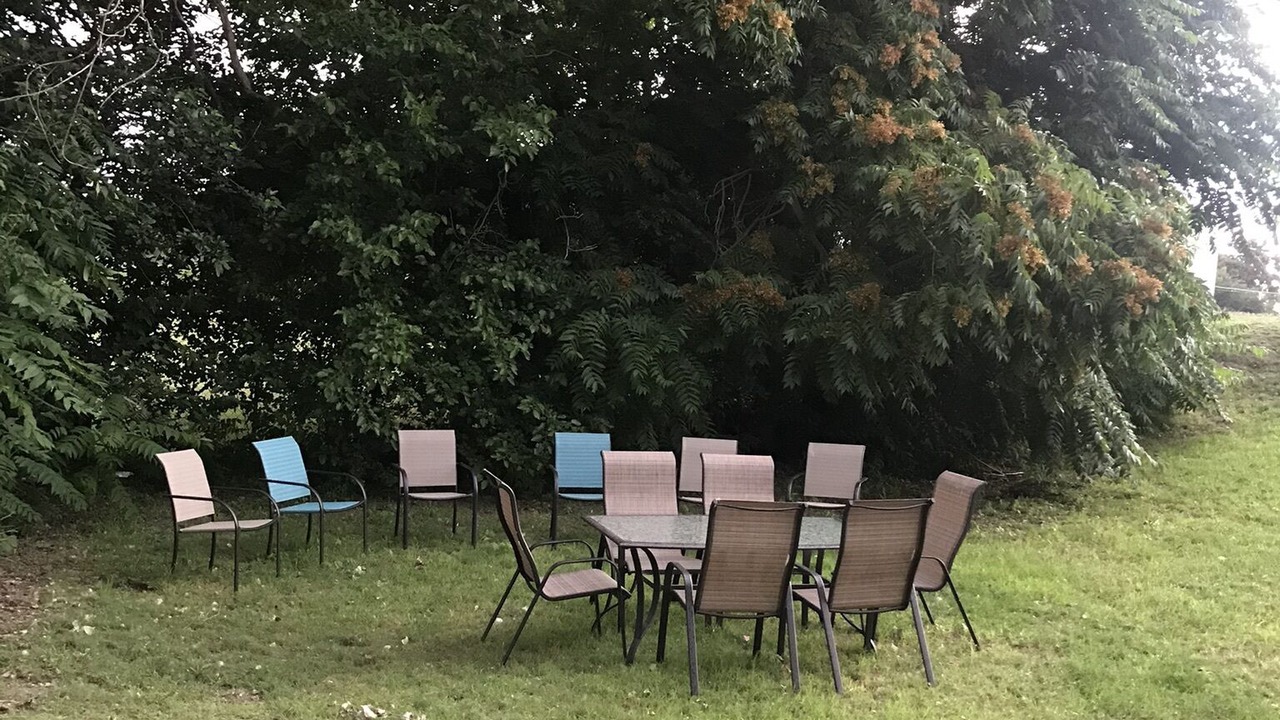 Photo of Outdoor in Longdale