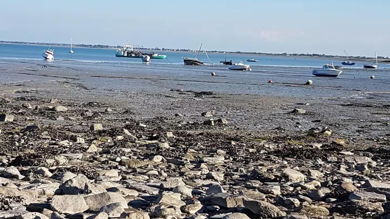 Photo of Others in Cancale