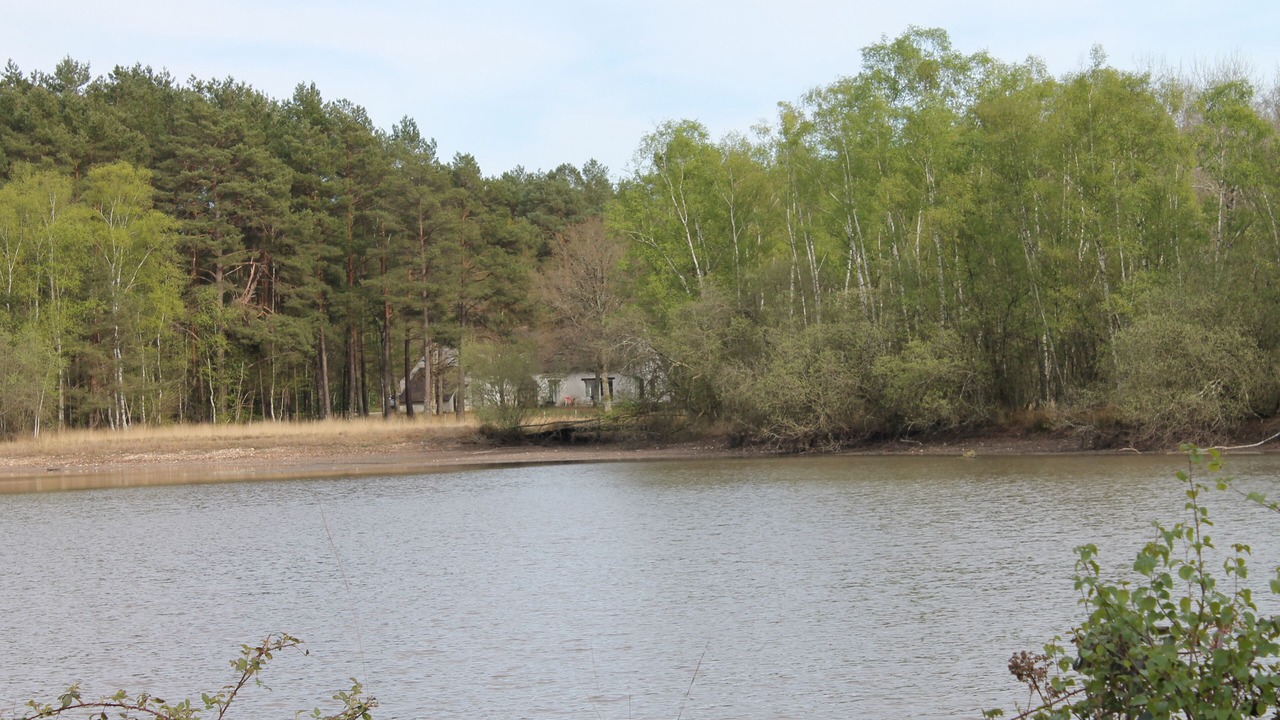 Photo of Others in Neuvy-sur-Barangeon
