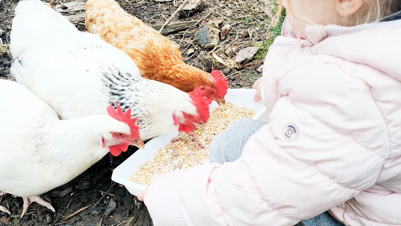 Photo of Others in Cagnes-sur-Mer