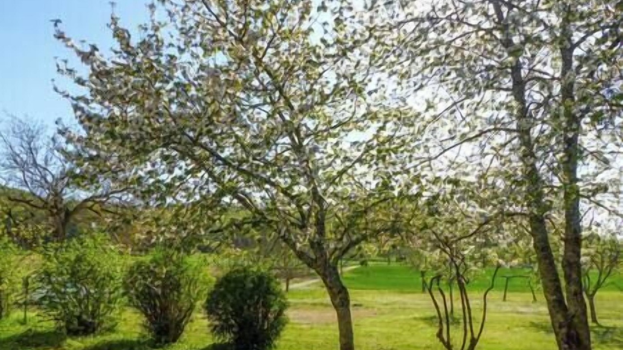 Photo of Others in Sainte-Mondane