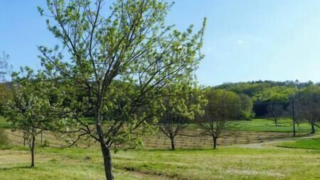 Photo of Others in Sainte-Mondane