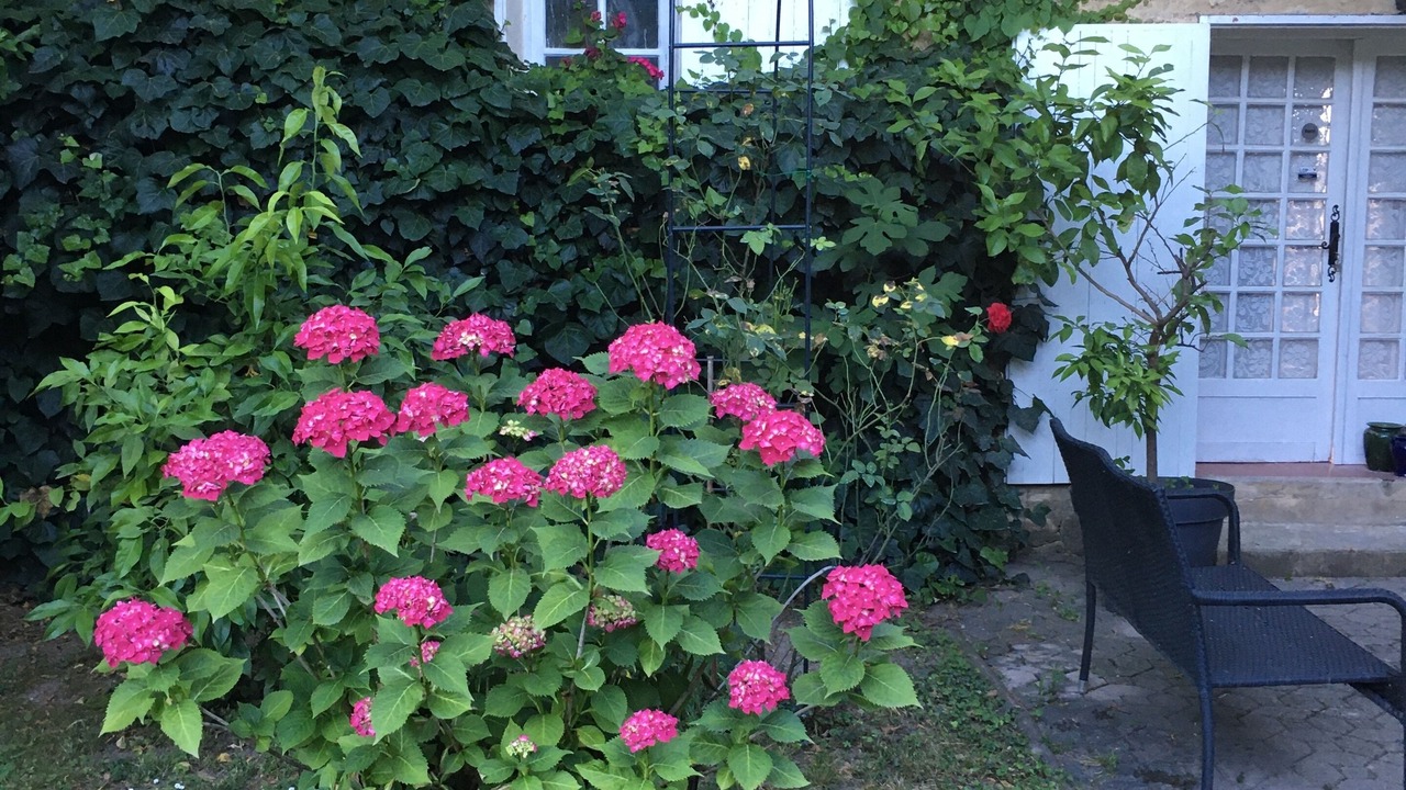 Photo of Outdoor in Piolenc
