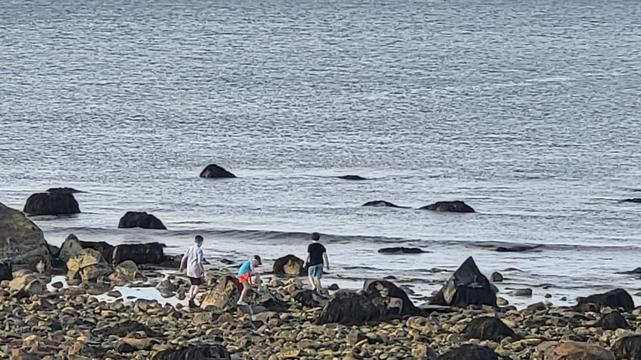 Photo of Others in Scituate