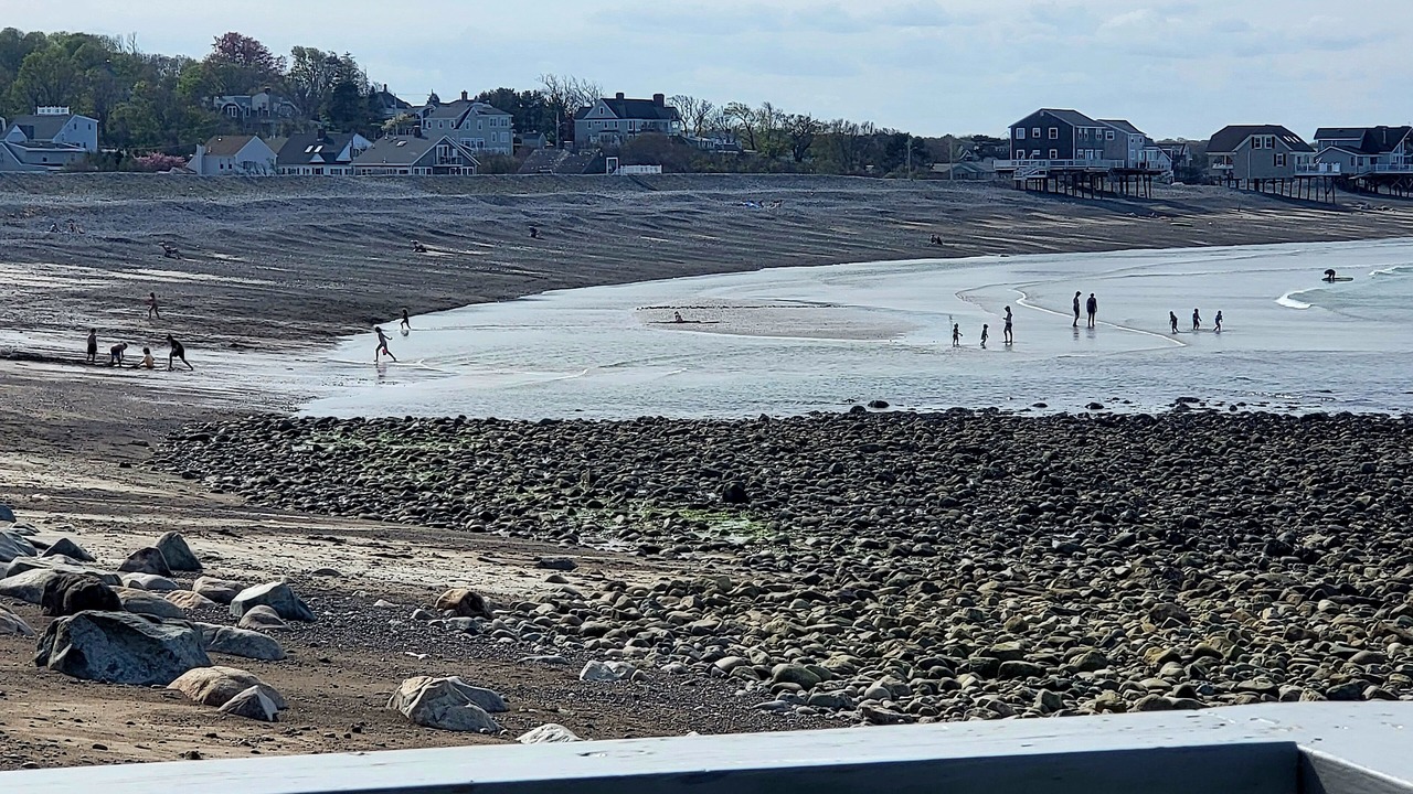 Photo of Others in Scituate
