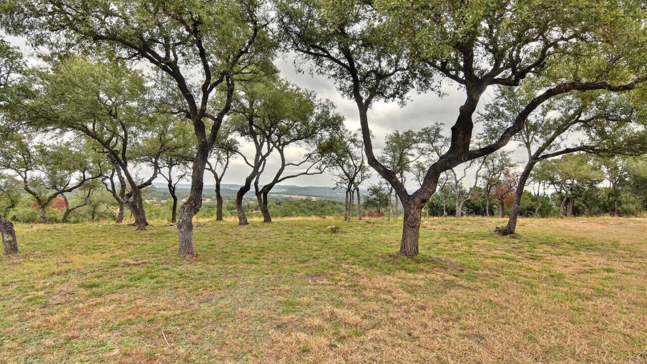 Photo of Outdoor in Dripping Springs