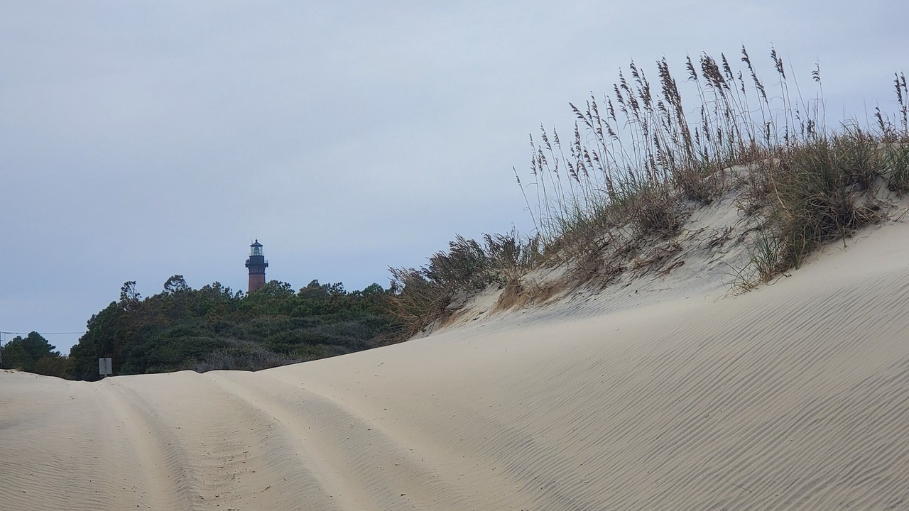 Photo of Others in Corolla Light
