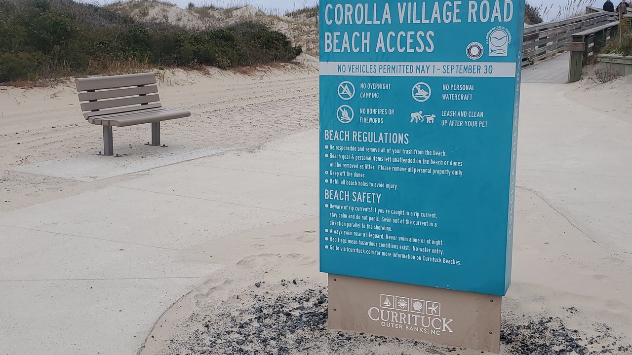 Photo of Others in Corolla Light