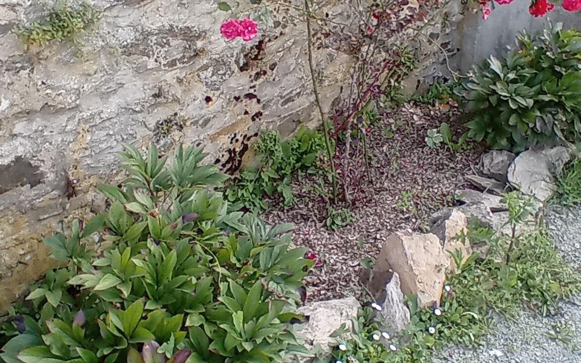 Photo of Outdoor in Reaumur