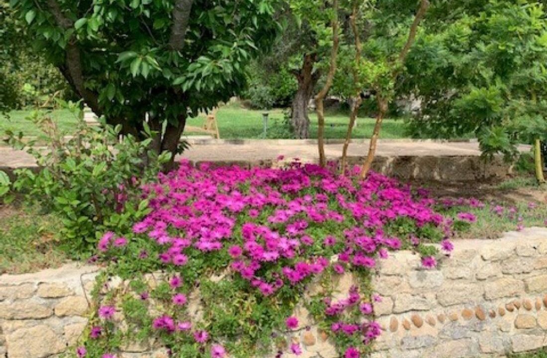Photo of Outdoor in Meynes