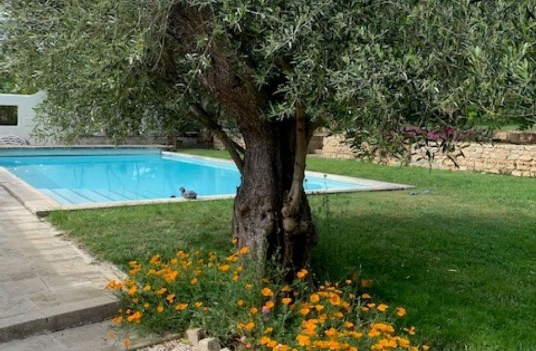 Photo of Outdoor in Meynes
