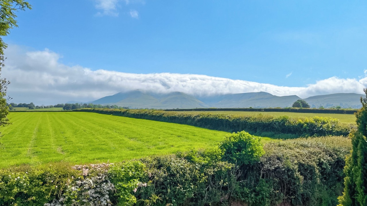 Photo of Others in Llanfihangel Tal-y-llyn