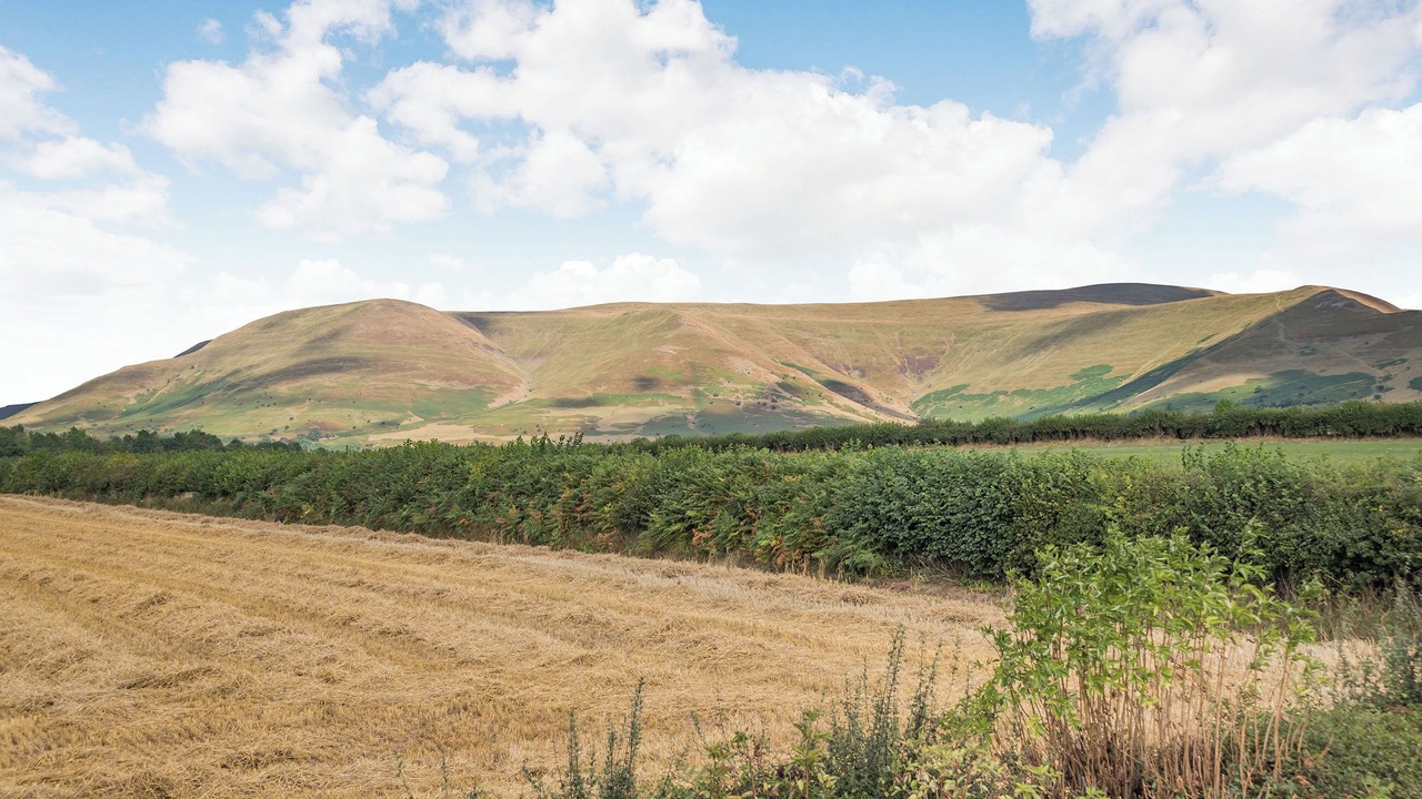 Photo of Others in Llanfihangel Tal-y-llyn