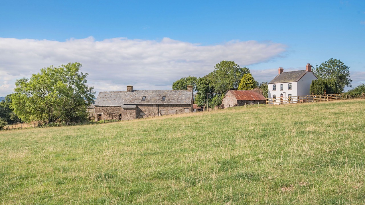 Photo of Others in Llanfihangel Tal-y-llyn