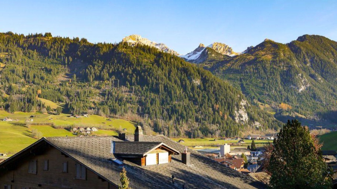 Photo of Others in Zweisimmen