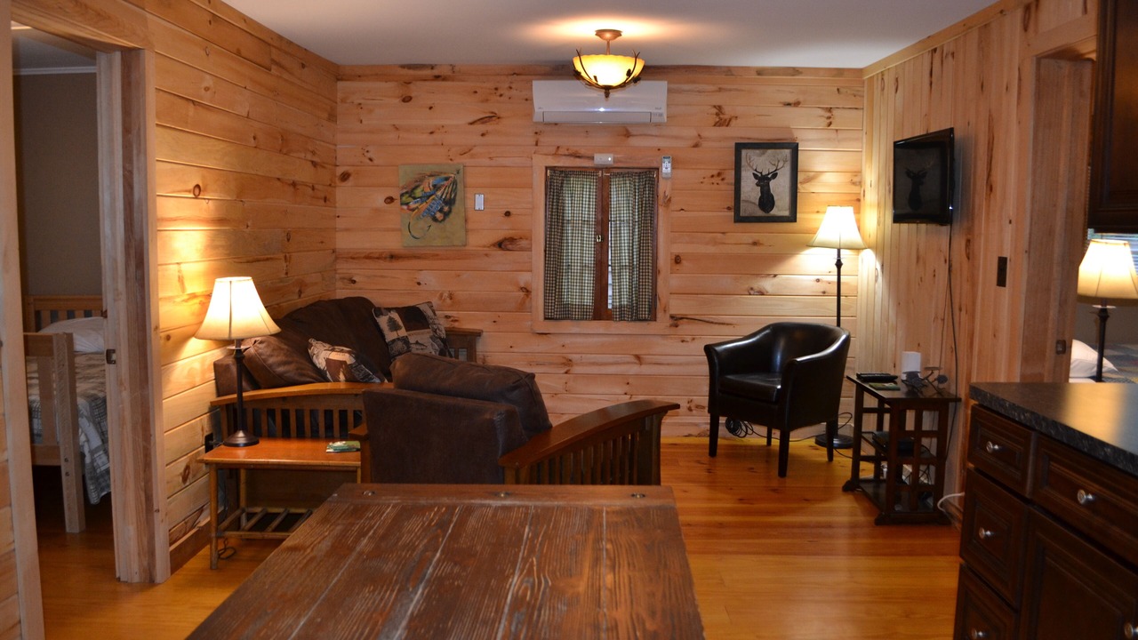 Photo of Livingroom in Lake Luzerne