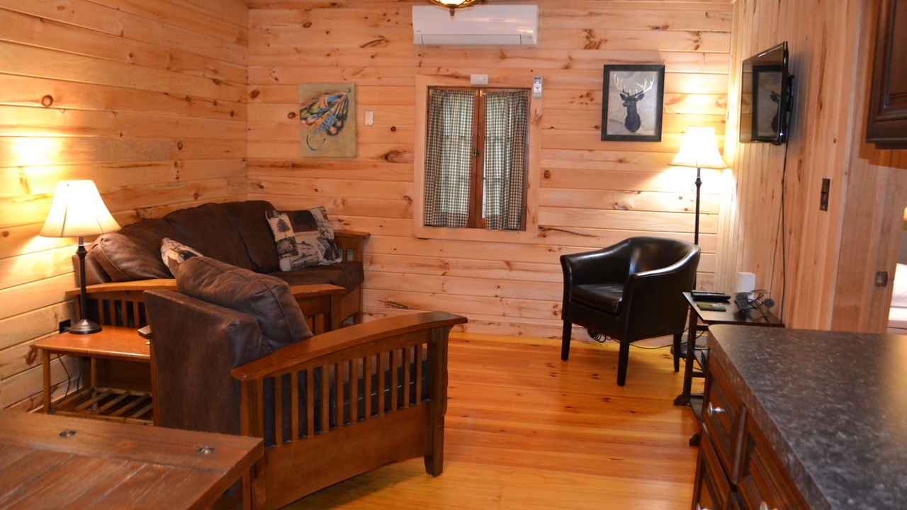 Photo of Livingroom in Lake Luzerne
