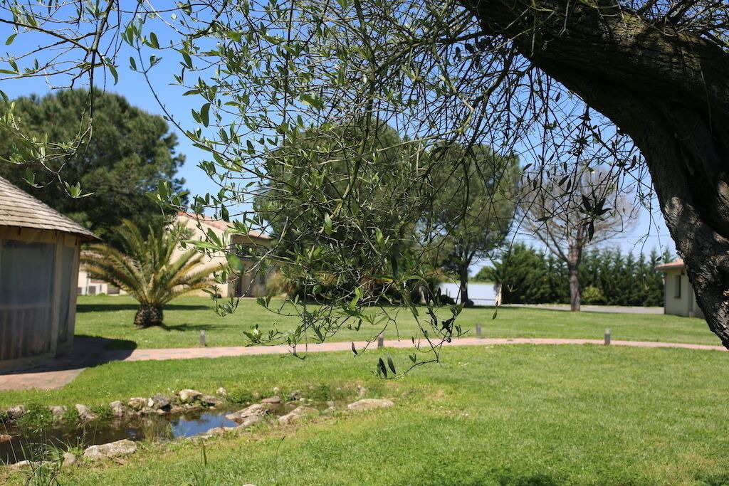 Photo of Outdoor in Carbonne